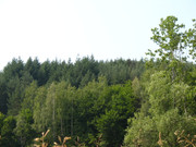 ADP System - Zelezniza 2009 (35)