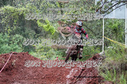 IMG-6308