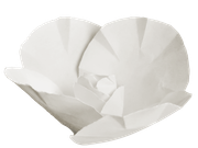 Winter-White-Elements-201
