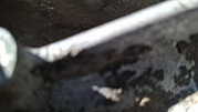 20260520-174932.jpg