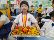 8a60d736-3b1c-45ec-870c-eb97b173b4a5