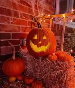 Pumpkins-0048