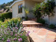Lush Backyard Greenery