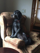 FAD737F2-518E-416A-BEE2-C03BB07A8000