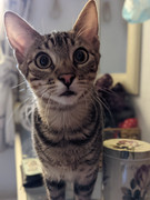 PXL_20210103_093453683.PORTRAIT