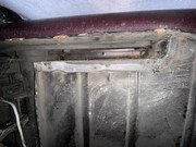 IMG-3556.jpg