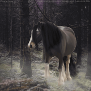 80D0074B-0914-4C5A-BE21-EBCD2EDAC8AD