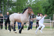 IMG-7382-wynik