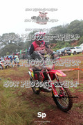 IMG-0166