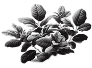 BW-element109