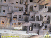 IMG-2516