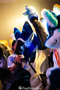 Cobby at Thaitails 2025