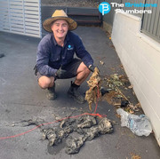 Toilet Blockage Repair