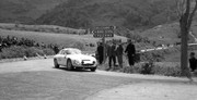  1964 International Championship for Makes - Page 3 64tf60-Alfa-Romeo-Giulia-TZ-Kim-A-Thiele-1