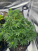 photo 2026 02 12 00 48 19