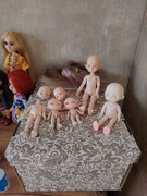 photo-2025-11-17-12-08-06