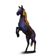 Nachtmahr bei The Witcher