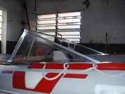 mimosos en berisso 203