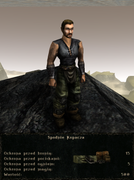 pancerze i ubrania (31)