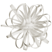 Winter-White-Elements-189