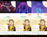 Polish 20260329 101621967