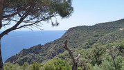 IMG-20260621-145129530