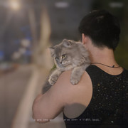 0A5780E6-7A20-4AD9-A30D-151491350691