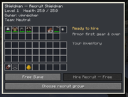 Slave Cage Inspection GUI