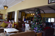 DSC-0013