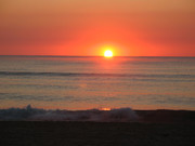 Teknival 2014 Schkorpilovzi (143)