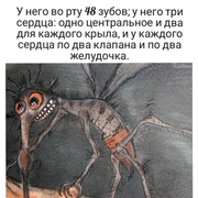 https://i.postimg.cc/YLWhSm33/028.png