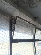 IMG-6450