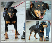 Be-Funky-collage-23.jpg&key=255697e16553