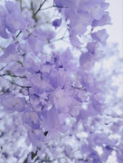 71d0b96f5a9cce0c08d5b2b6ca0e10ad