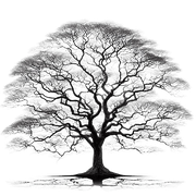 BW-element29