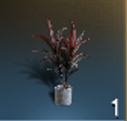 Снимок экрана 2025-06-13 234046