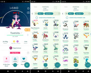 Polish 20260217 131600612