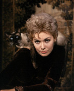 kim-novak-488