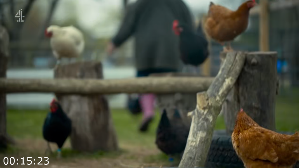 [Image: o3b5sdmk5rc7.png]