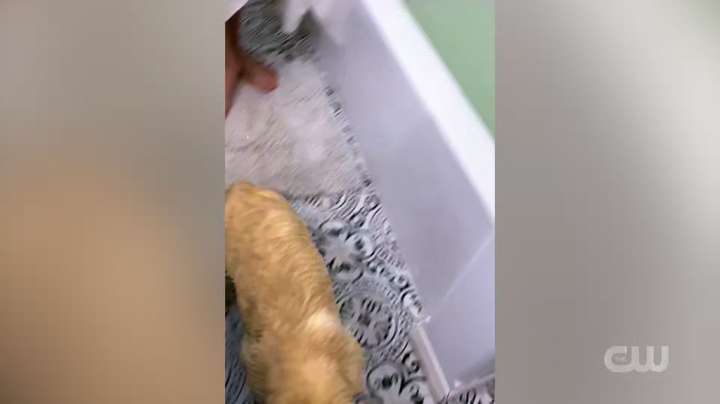 [Image: oii0t68xabn1.png]