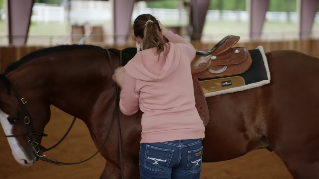 [Image: 66fnt3jajb8d.png]