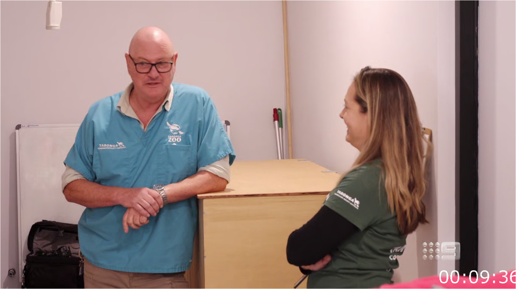 [Image: 8uwz8kvx4yk9.png]