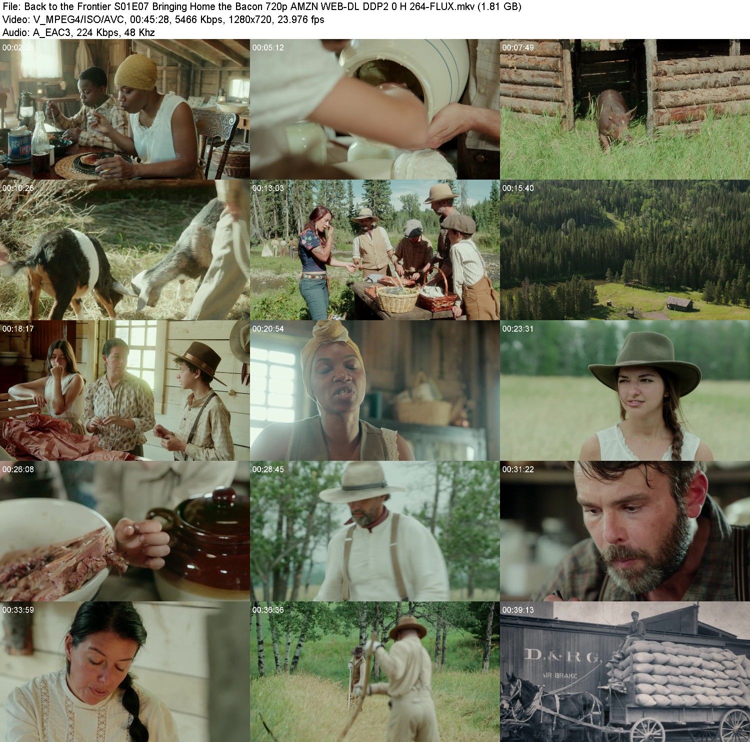 [Image: vebbw2vb9q74.jpg]