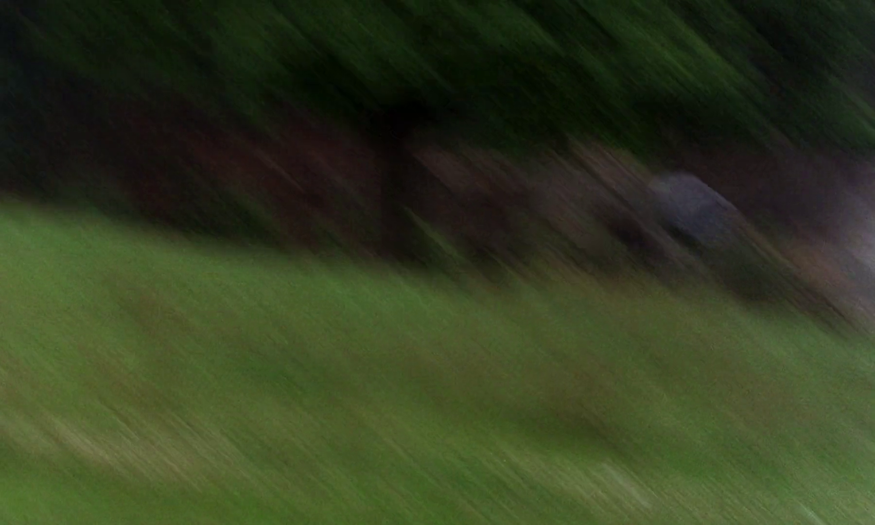 55hbq8ht4e.png