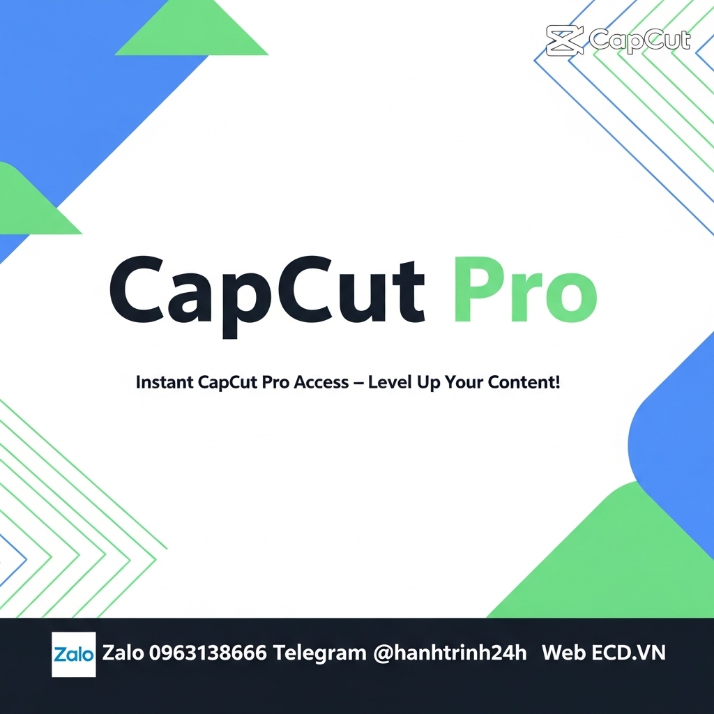 capcut business pay later