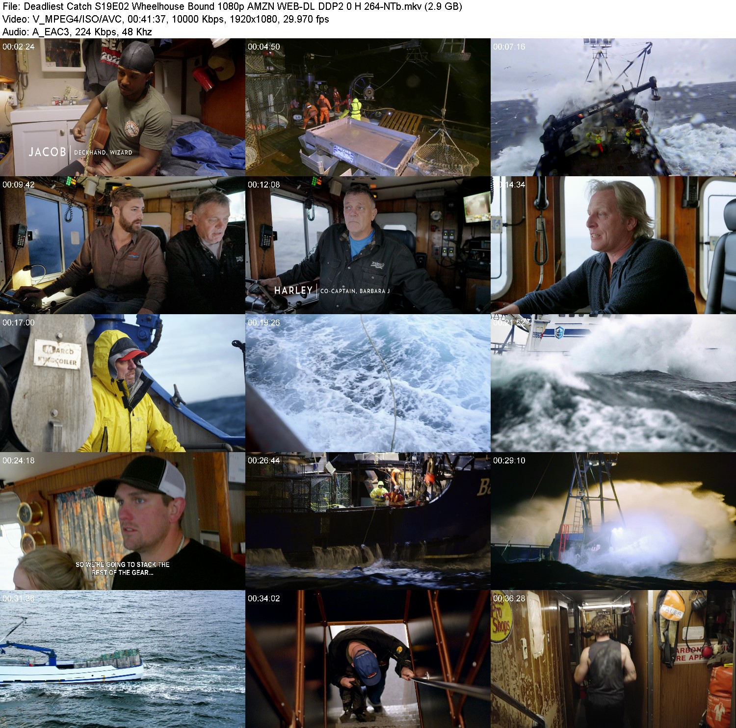 [Image: 6zwa09ae8wec.jpg]