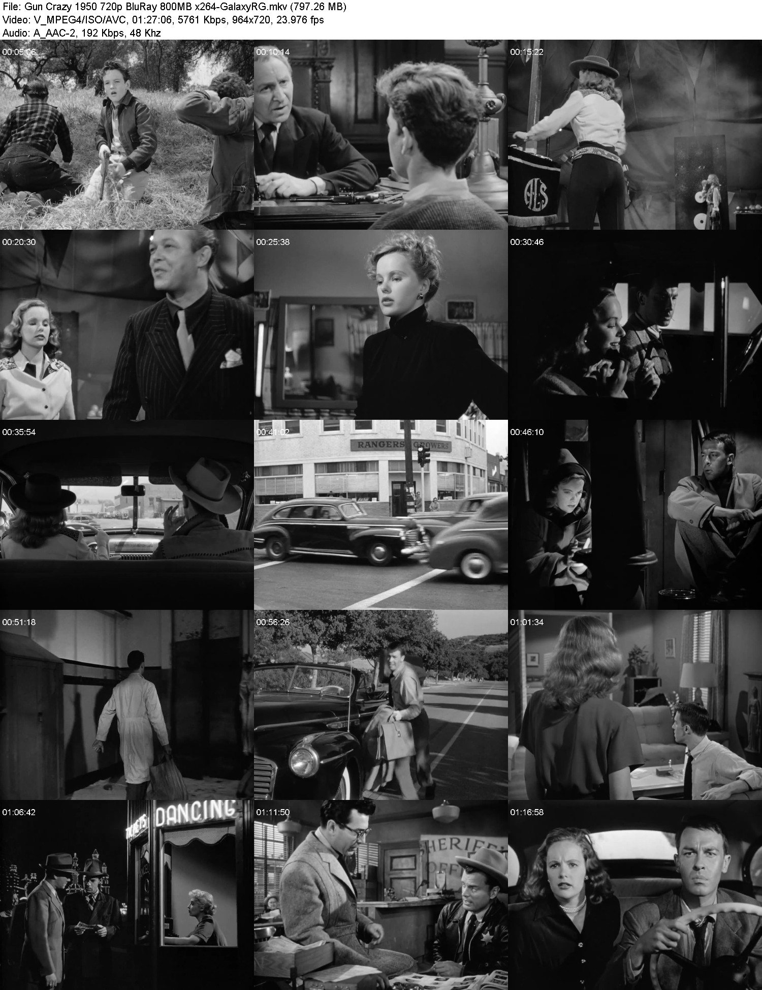 [Image: zk0xiyqca622.jpg]