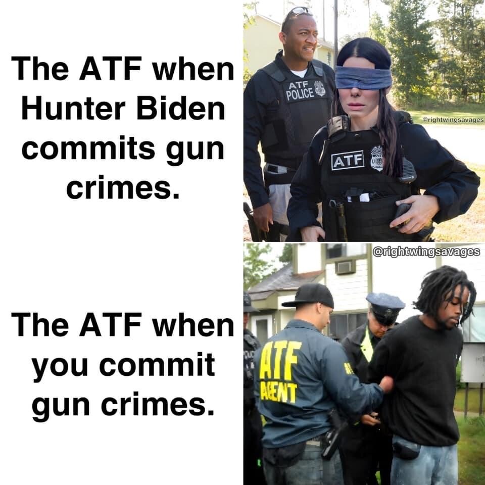 Hunter-the-ATF-and-gun-crimes.jpg