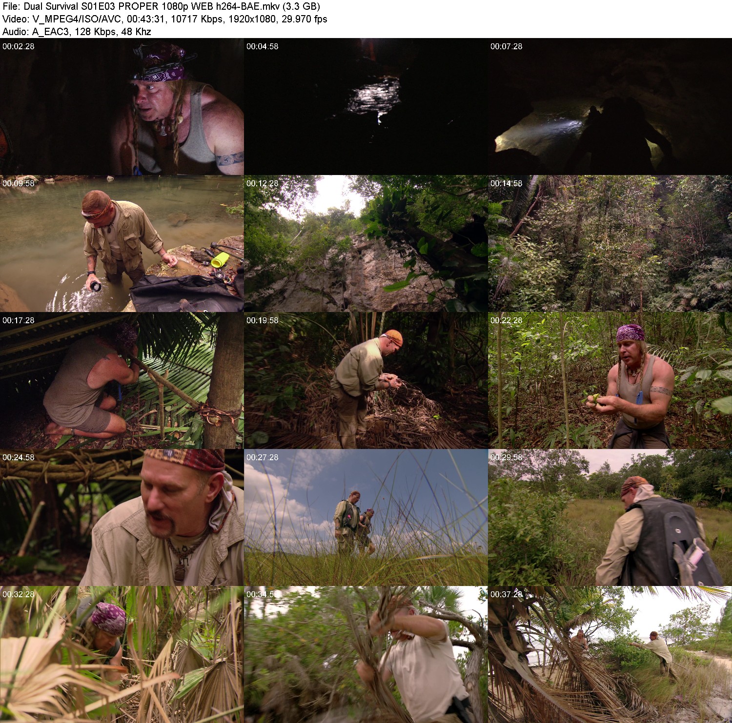 [Image: yq5z96yunn2x.jpg]