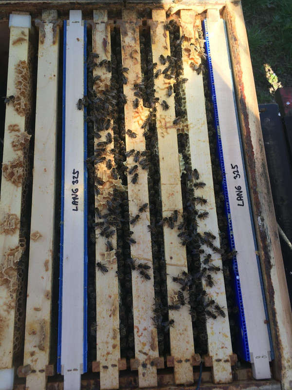 994CA69E-C81D-4576-9560-4CB3422C3F6C